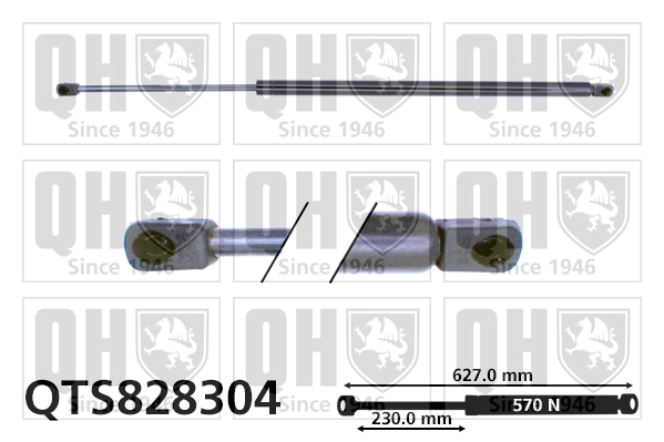 QTS828304