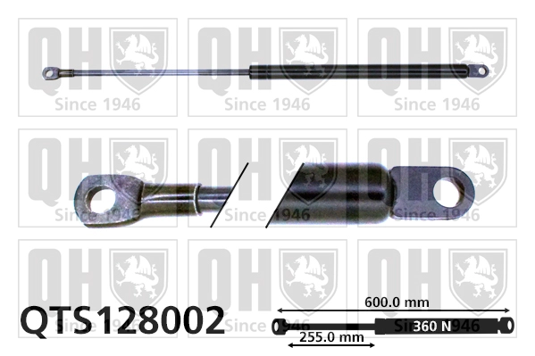 QTS128002