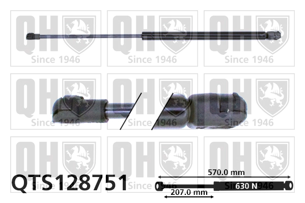 QTS128751