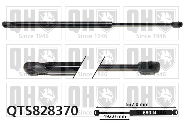 QTS828370