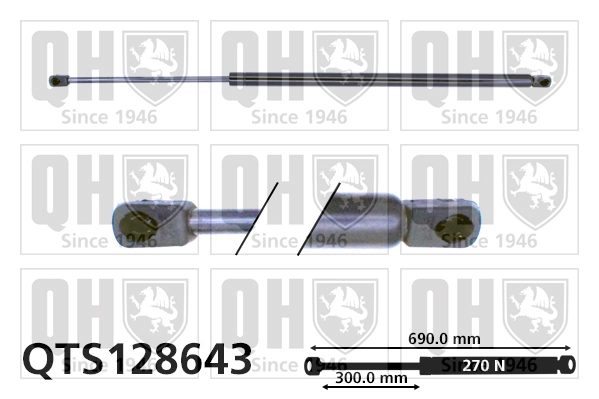QTS128643