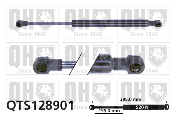 QTS128901