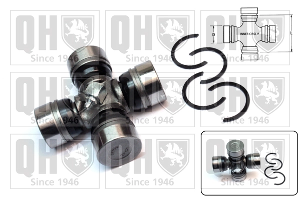 QL504