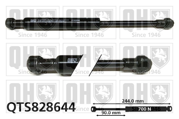 QTS828644