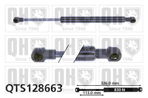 QTS128663