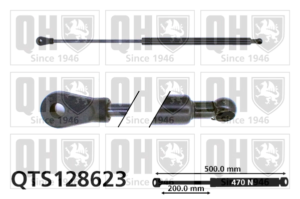 QTS128623