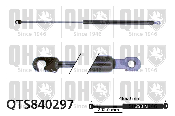 QTS840297