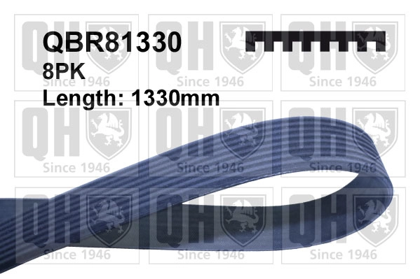 QBR81330