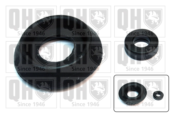 EMA5043