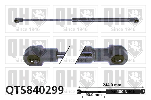 QTS840299
