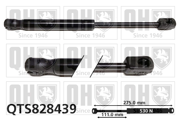 QTS828439