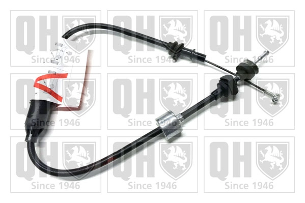 QCC1953