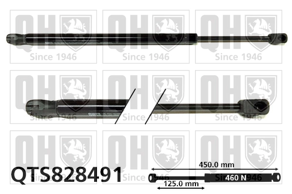 QTS828491