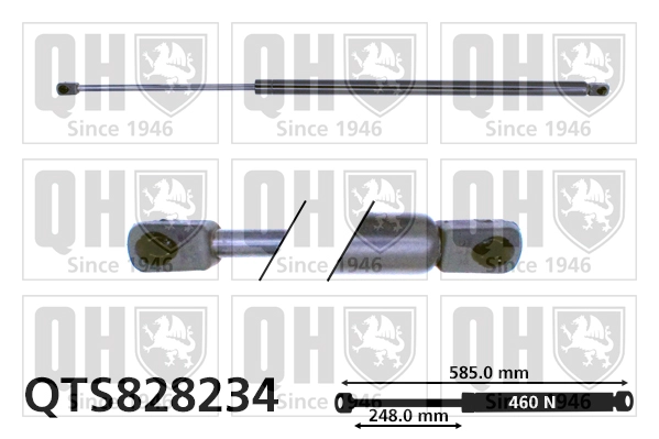 QTS828234