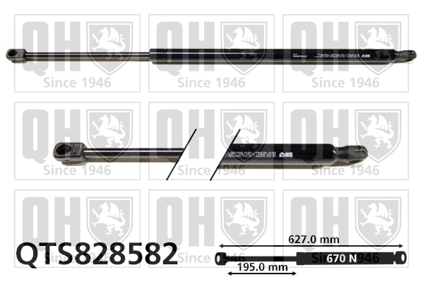 QTS828582