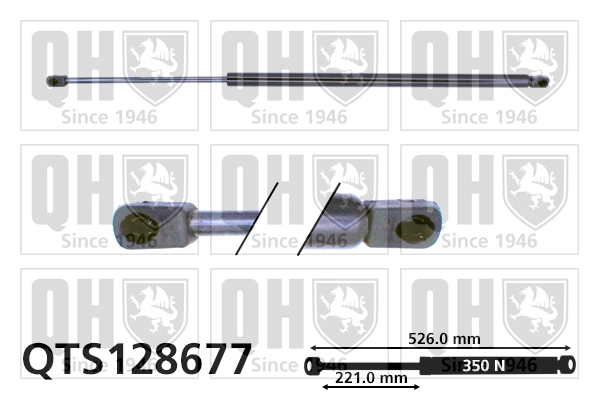 QTS128677