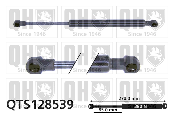 QTS128539