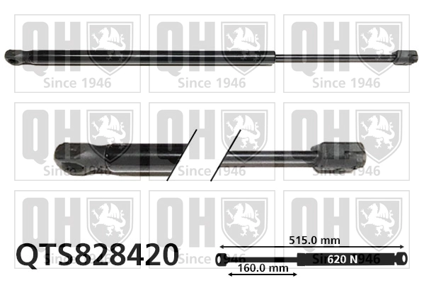 QTS828420