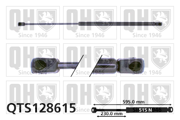 QTS128615