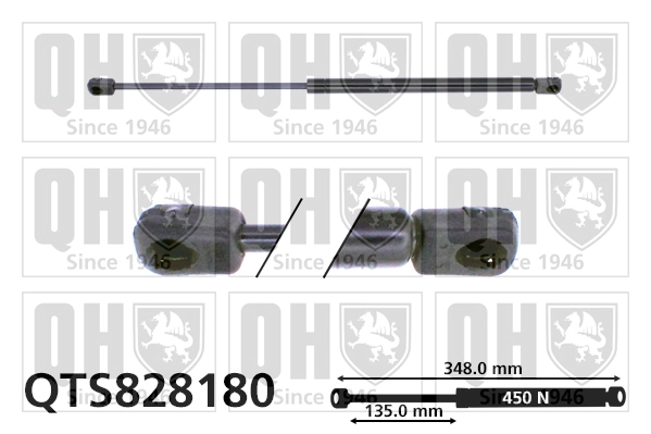 QTS828180