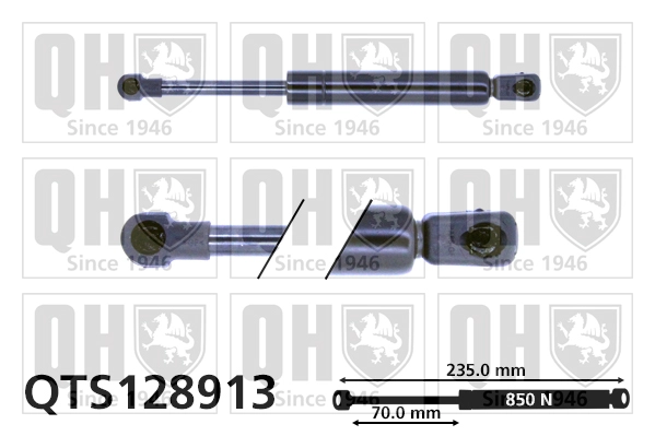 QTS128913