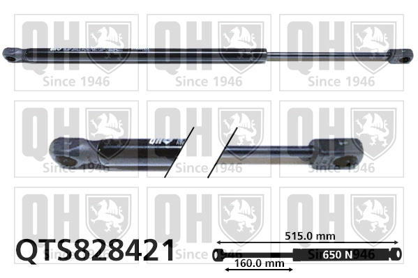 QTS828421