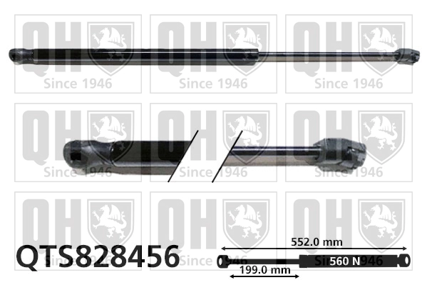 QTS828456