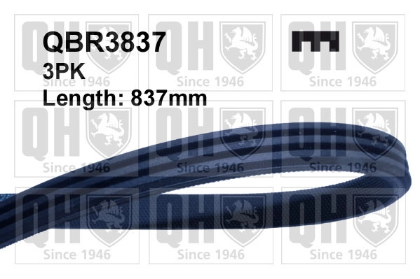 QBR3837