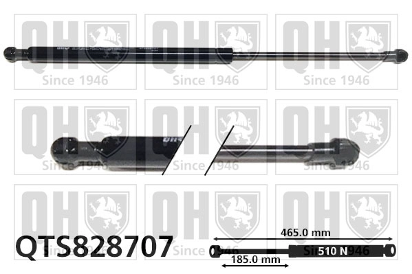 QTS828707