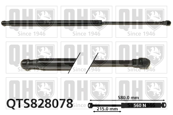 QTS828078