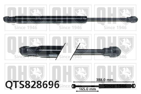 QTS828696