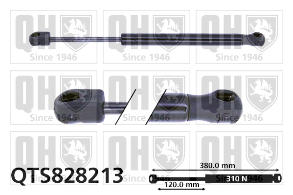 QTS828213