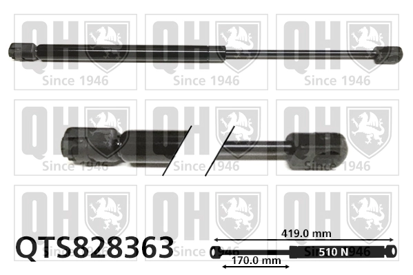QTS828363