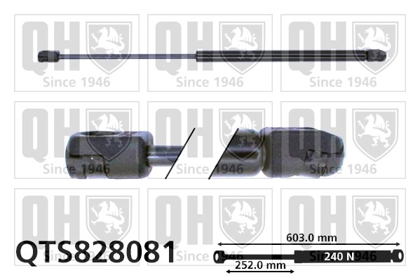QTS828081