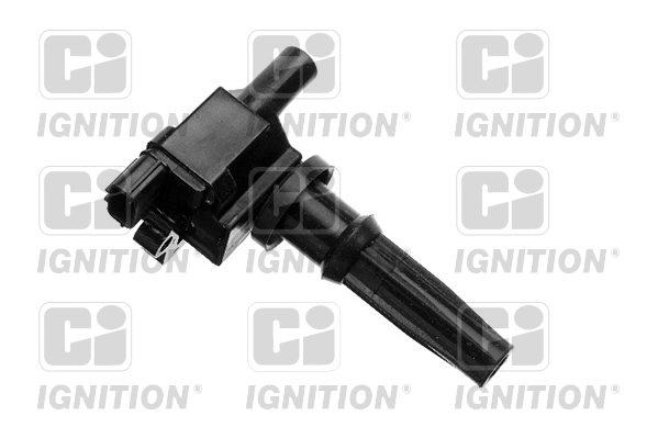 XIC8319