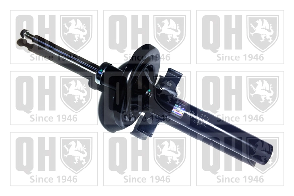QAG178989