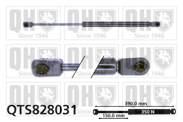 QTS828031