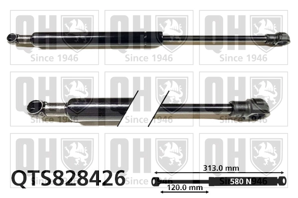 QTS828426