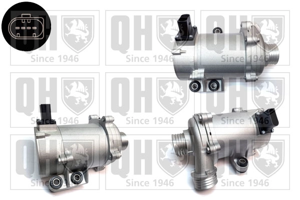 QCP3824