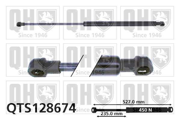 QTS128674