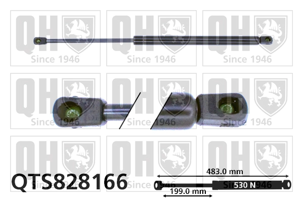 QTS828166