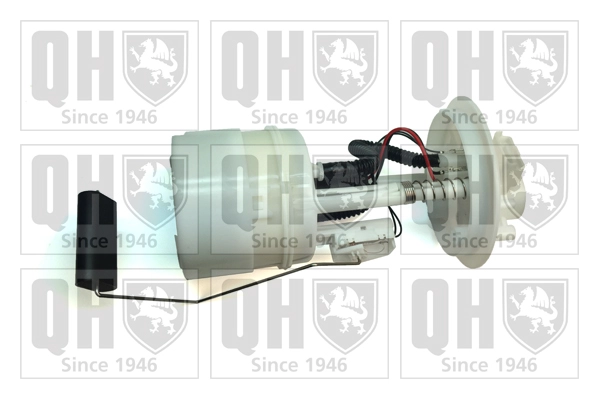 QFP843