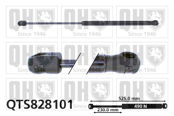 QTS828101