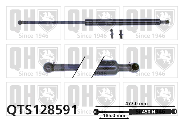 QTS128591
