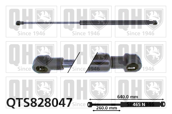 QTS828047