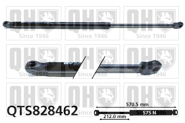 QTS828462