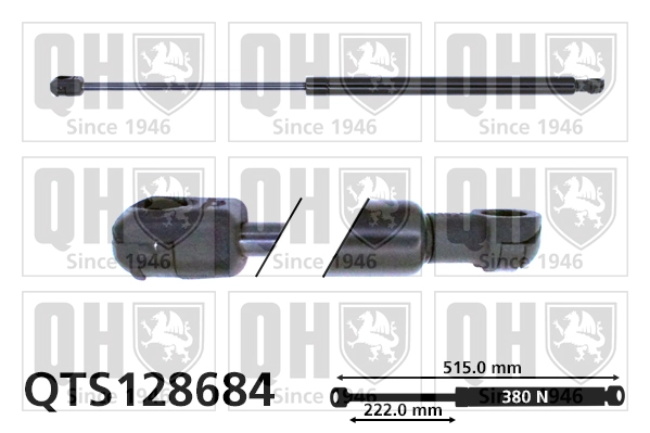 QTS128684