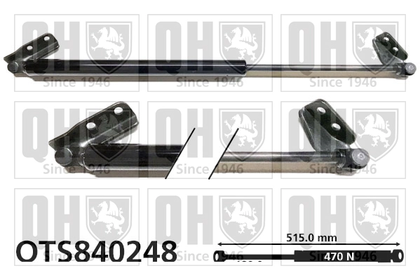 QTS840248