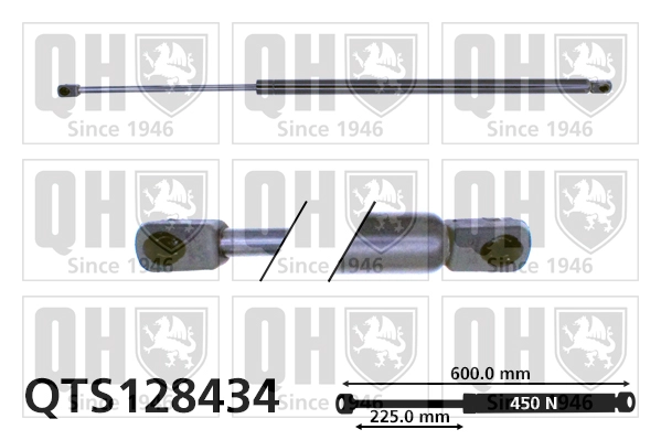 QTS128434