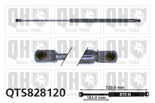 QTS828120